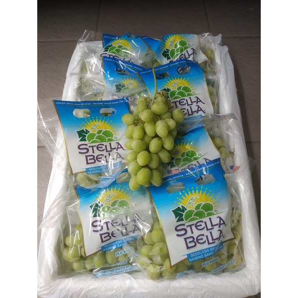 

Anggur Hijau Stella Bella USA 1 Dus (8.5 KG) Fresh Import
