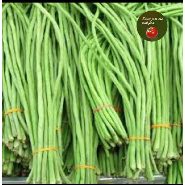 

kacang panjang 500gr
