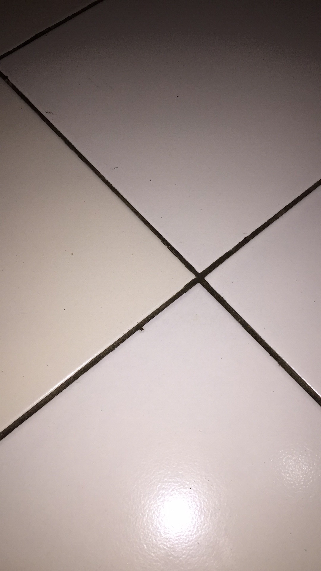 Sos Cairan Pembersih Karbol Refill [750 Ml]/2pcs