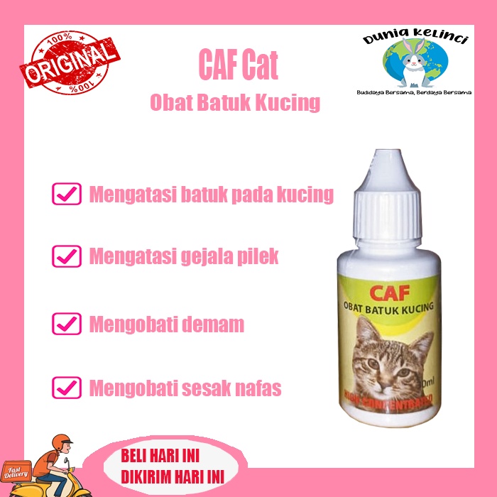 Obat batuk kucing CAF 30 ml