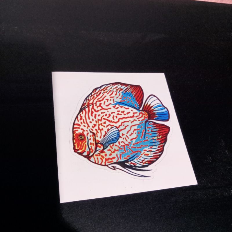 ikan discus ikan hias aquascape stiker gambar tempel