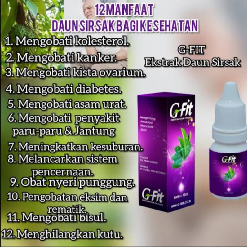 

graviola fit herbal