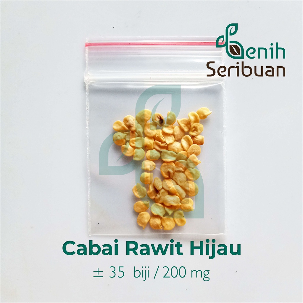 35 Benih Cabe Rawit Hijau Unggul Sayuran Cabai Berkualitas - Bibit Tanaman Sayur Seribuan-3