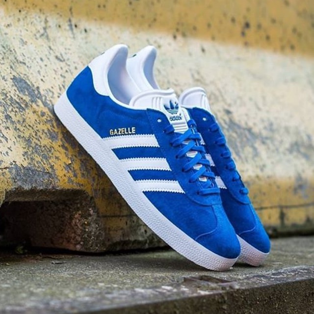 gazelle royal blue
