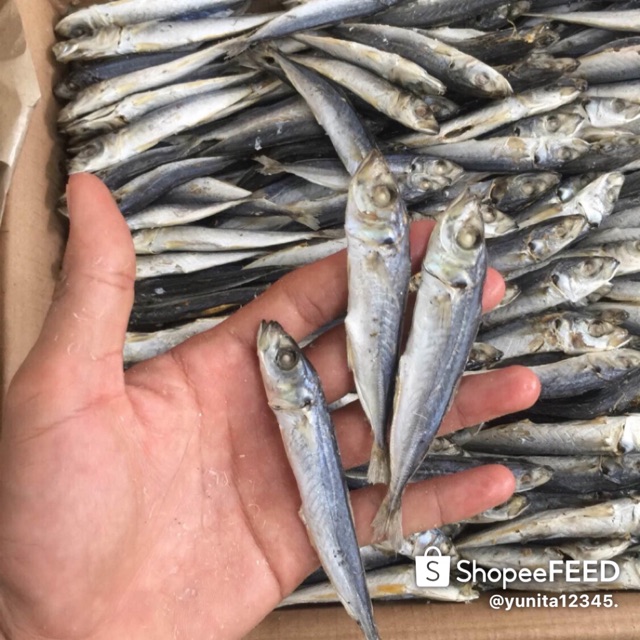 

Ikan asin ogak/layang kukus 1kg