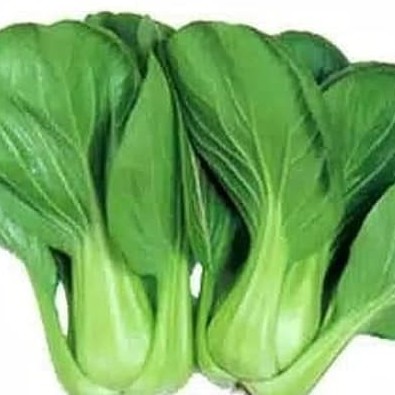 SERBU Benih Serba Seribu - Benih Sayur-sayuran - Benih Sayur Daun dan Sayur Buah-Sawi Pakcoy