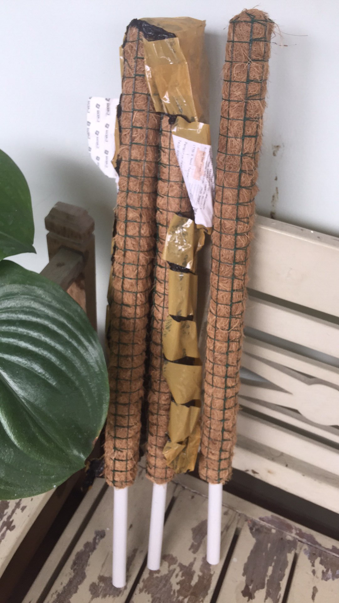 Turus Tiang Penyangga Tanaman 50 Cm