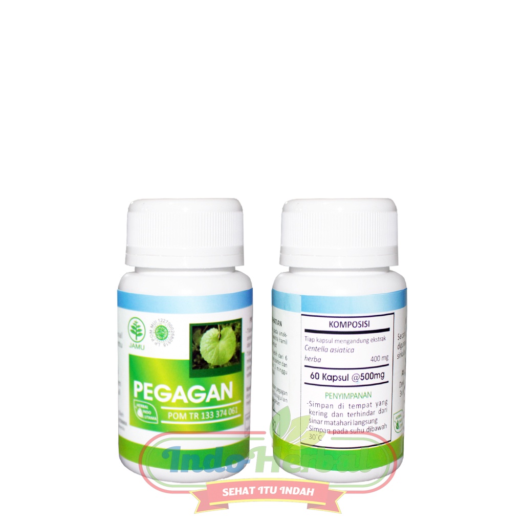 HIU Pegagan Obat Herbal isi 60 kapsul | Obat Herbal  Pegagan