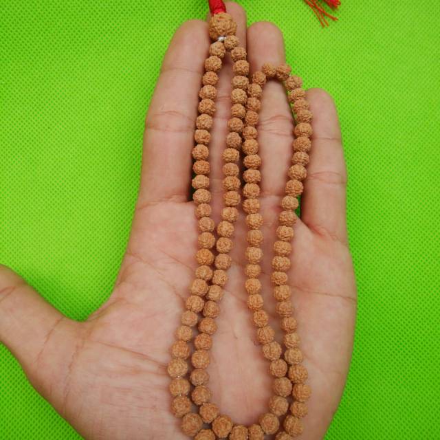 KALUNG JENITRI KECIL ASLI 5mm