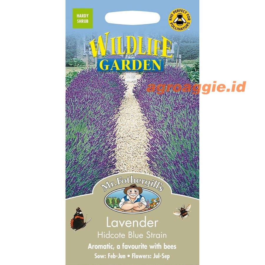 Benih Tan. Mr. Fothergill's LAVENDER Hidcote Blue Strain