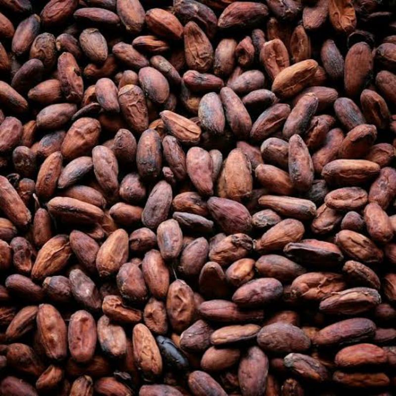 

TERMURAH!!! BIJI COKLAT KERING TERBAIK PROMO HARI INI SAJA 100 gram