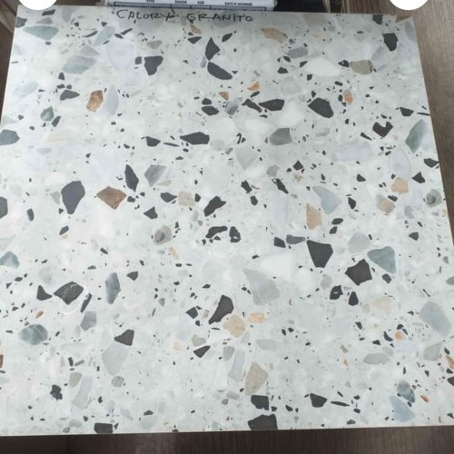 Granito Granite Tile / Granit Terazzo Forte Colori 60X60