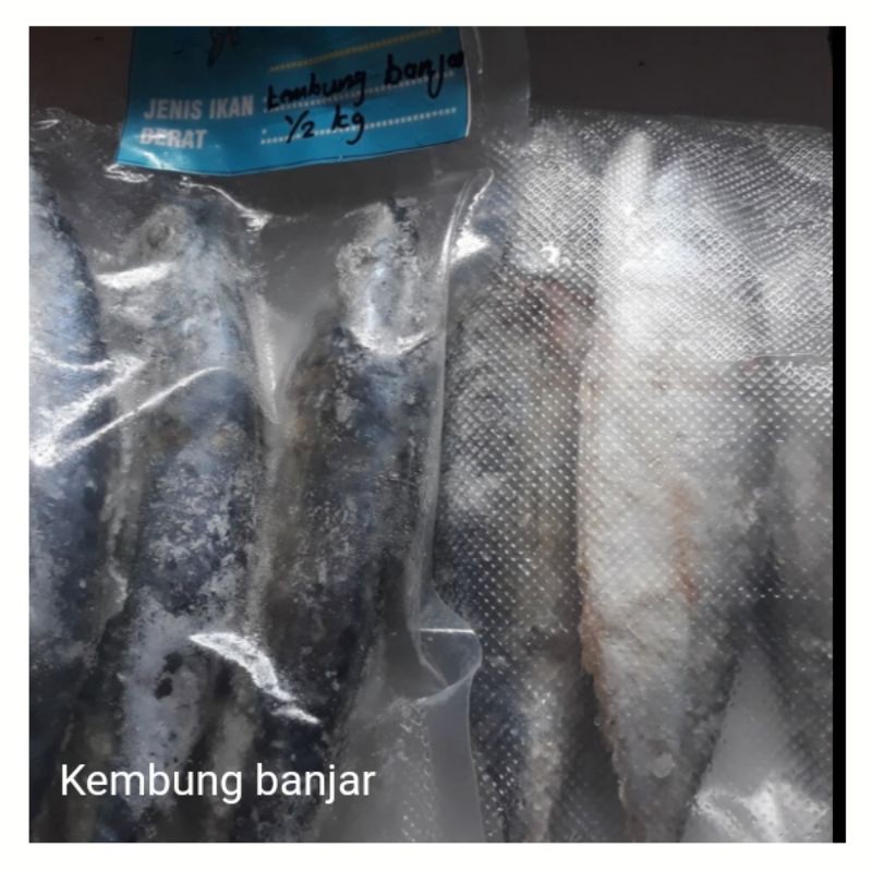 

ikan kembung banjar
