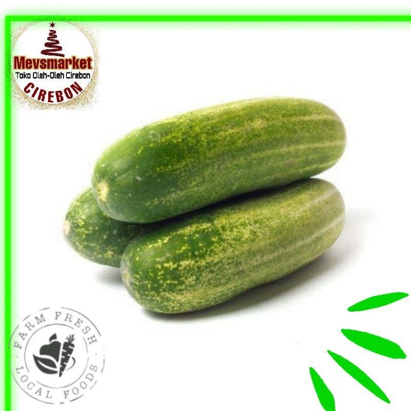 

Timun Fresh (Harga Per Pcs) - Mevsmarketcirebon