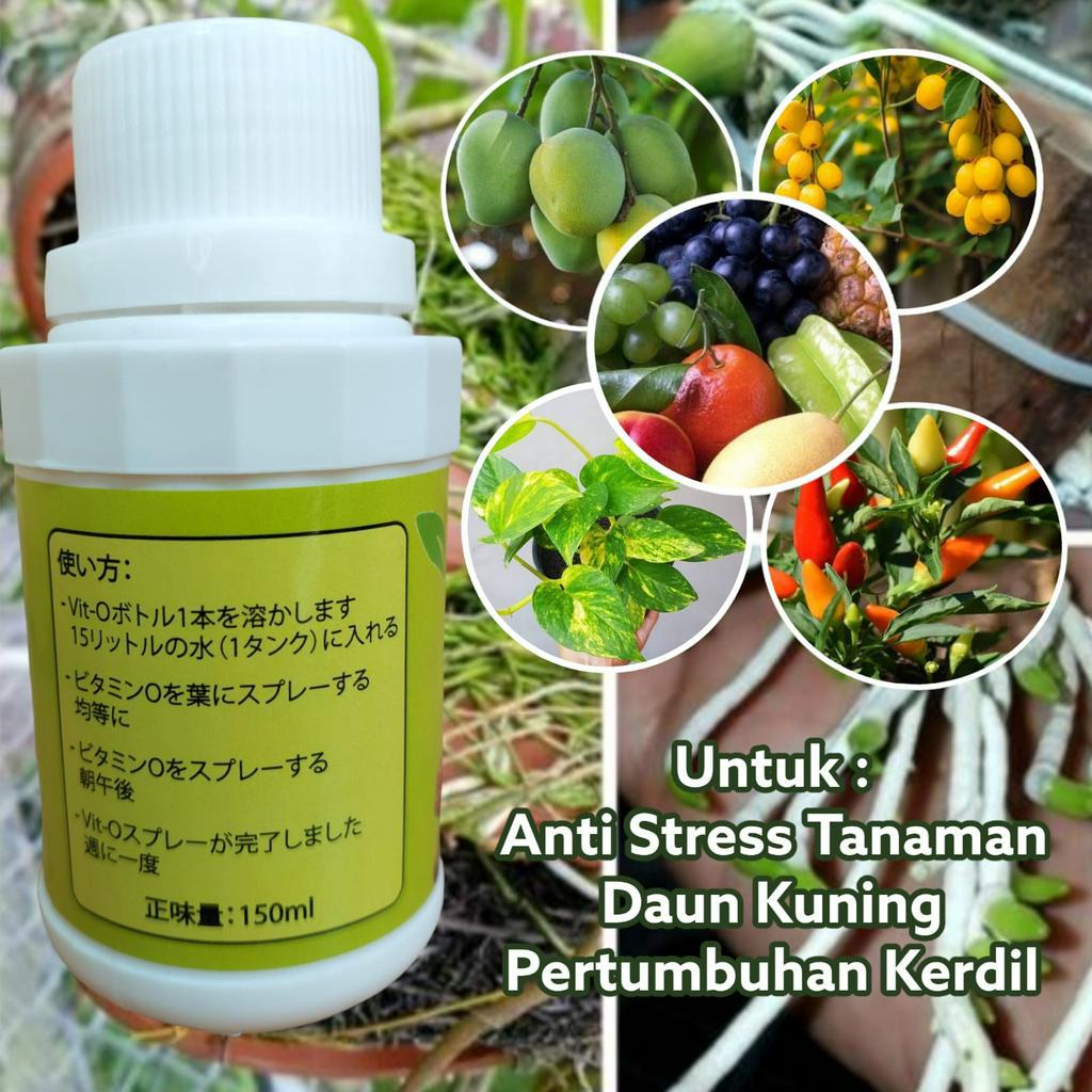 Pupuk Vit O Bahan Organik Plant Nutrition 150 ML Untuk Semua Jenis Tanaman