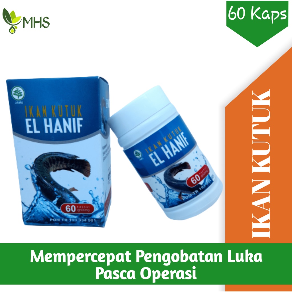 SARI IKAN KUTUK GABUS KAPSUL