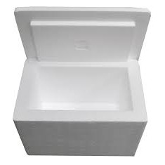 

STYROFOAM UNTUK TAMBAHAN PELINDUNG MAKANAN