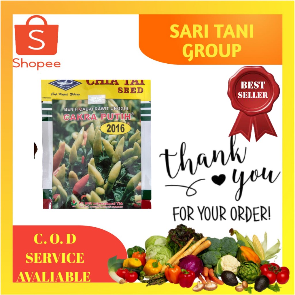 Benih Cabe Rawit Unggul Cakra Putih