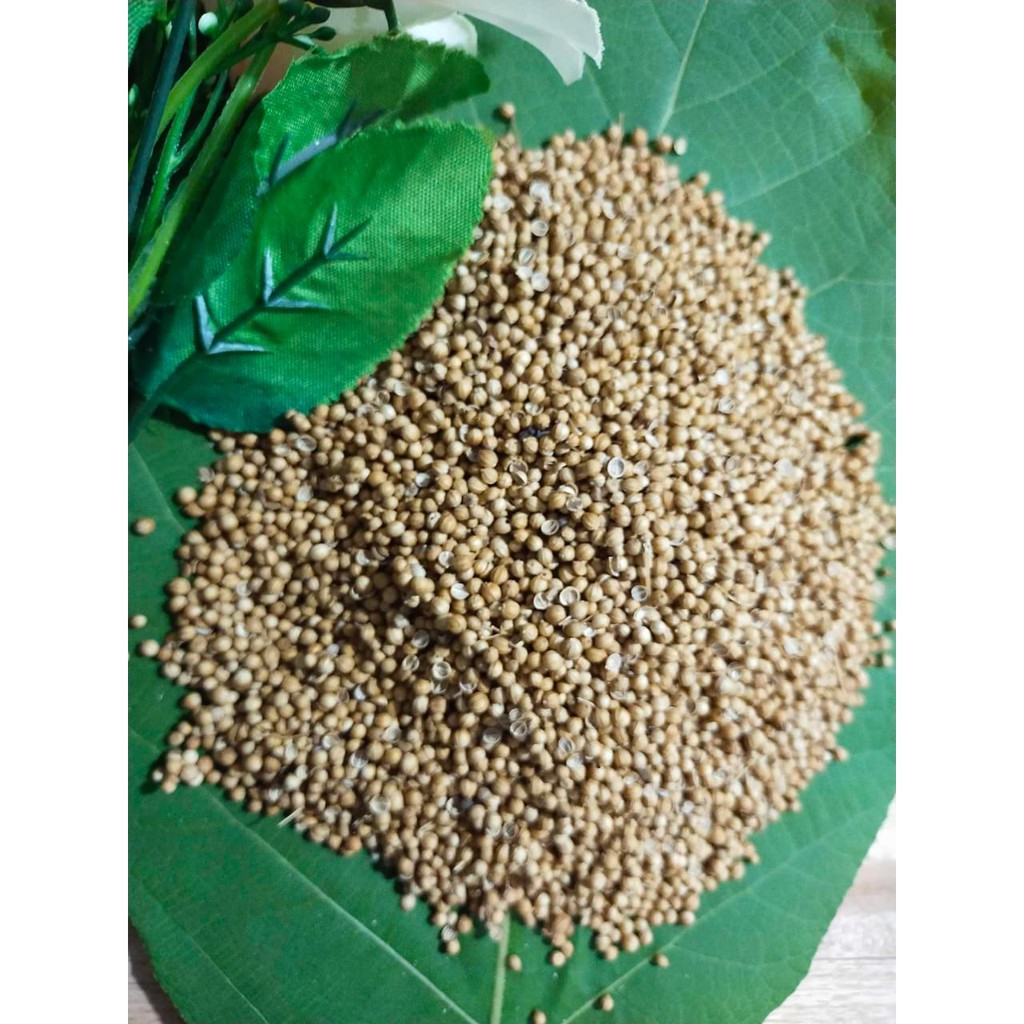

KETUMBAR UTUH / KETUMBAR BULAT