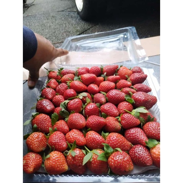 

Strawberry