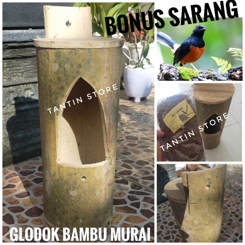 Glodok Bambu Burung Murai Bonus Sarang Cemara