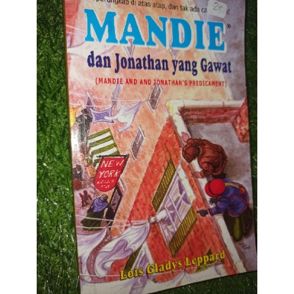 

bukj novel - MANDIE & Jonathan yg gawat (preloved)