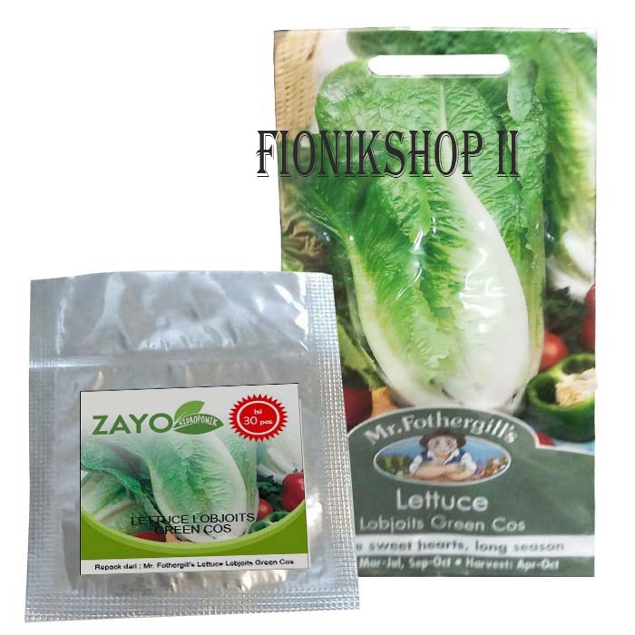 BENIH LETTUCE LOBJOITS MR. FOTHERGILLS REPACK - BIBIT LETTUCE LOBJOITS