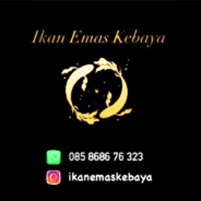 ikanemaskebaya6