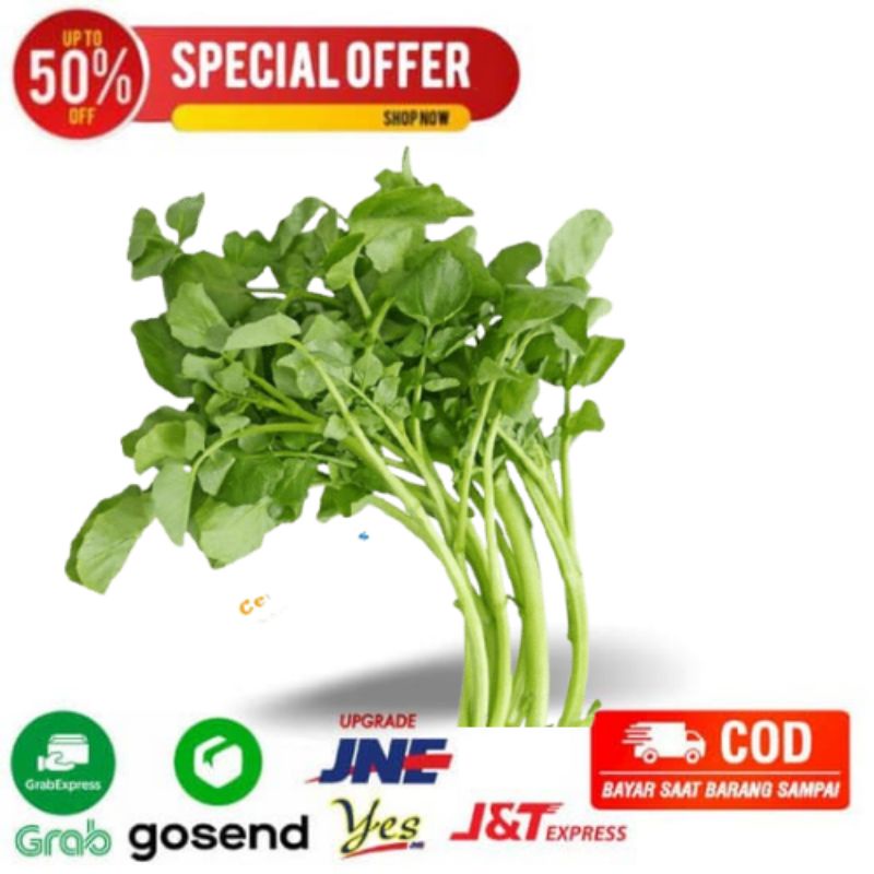 

salada air lalab fresh segarmart bandung