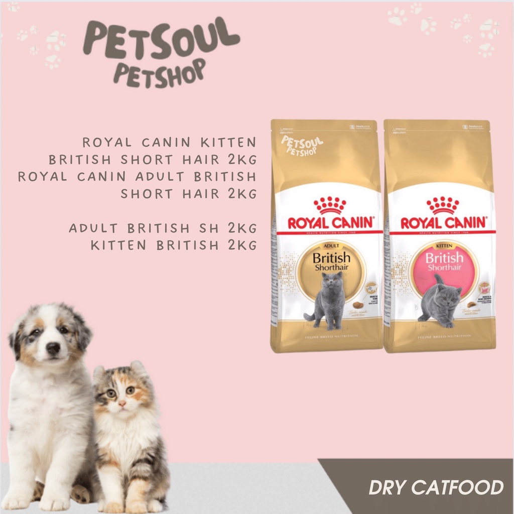 Royal Canin Kitten British Short Hair 2kg / Royal Canin Adult British Short Hair 2kg