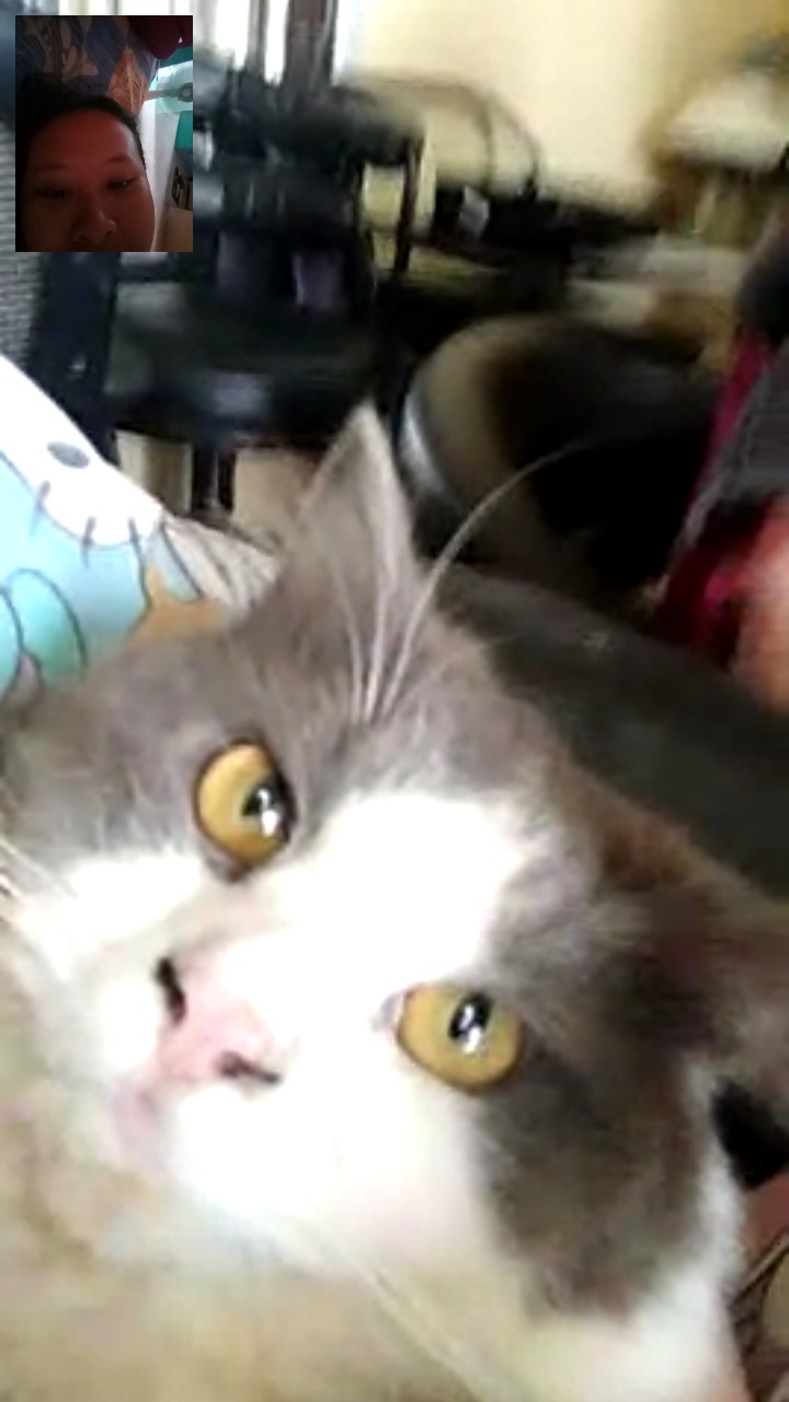 Pot Tembok Isabella Merek Shallom 28 Cm