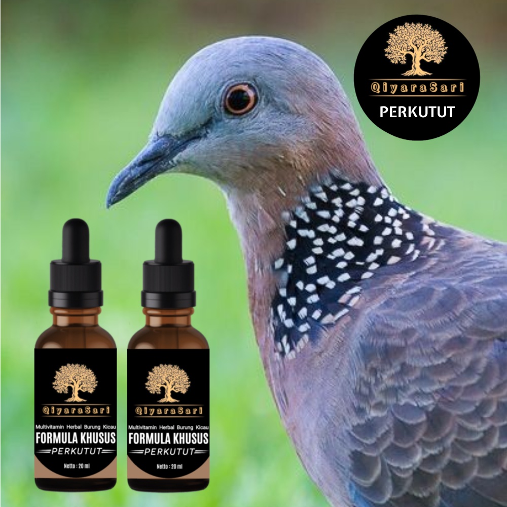 vitamin perkutut Qiyara Sari / vitamin burung perkutut biar gacor / doping perkutut / vitamin tetes 