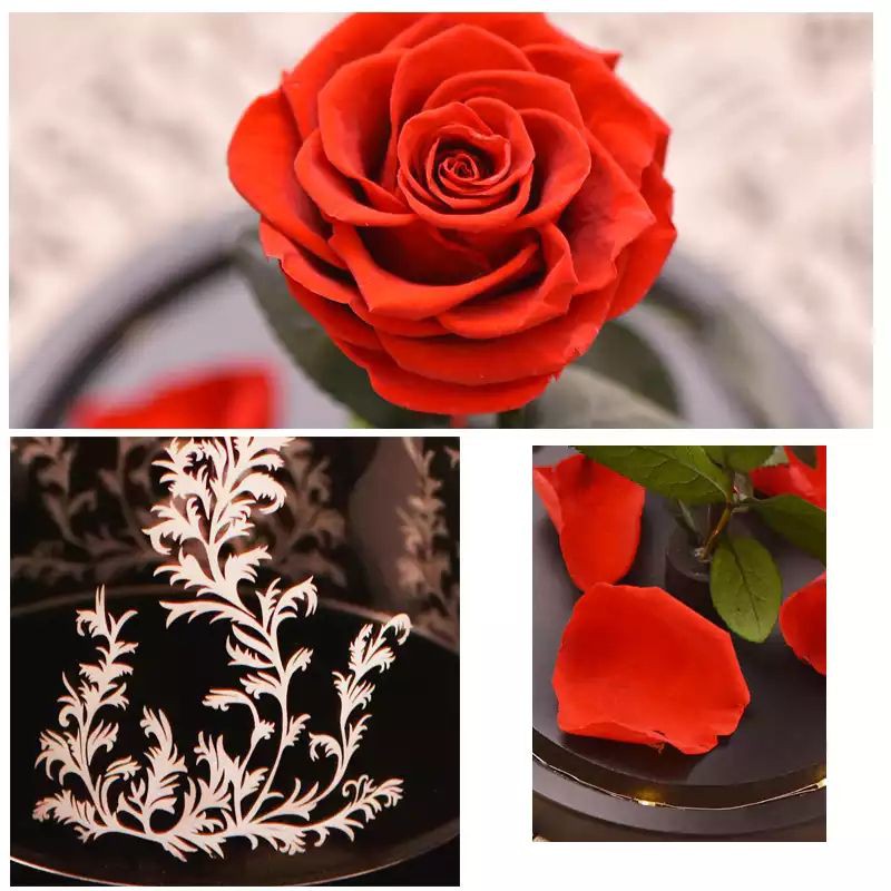 bunga beauty and the beast preserved rose impor led valentine gift hadiah anniversary