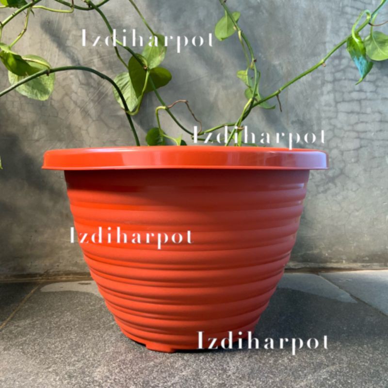 Pot bunga tanaman tawon merah bata kuping 27cm - BEE 272 merah bata