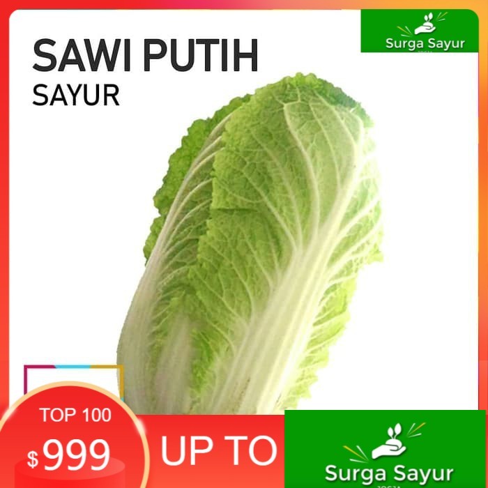 

SURGA SAYUR SAWI PUTIH SAYUR [1 Buah] SEJABODETABEK BISA INSTANT MENGGUNAKAN GOSEND &GRAB.