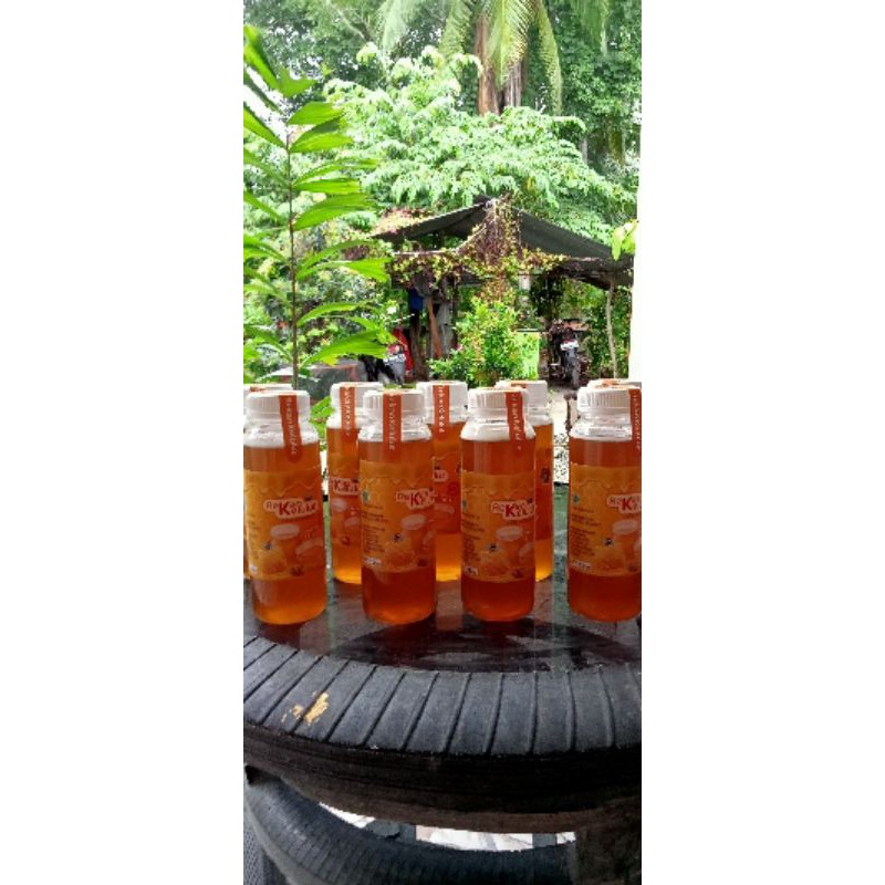 

Madu Plaket (Trigona Itama)