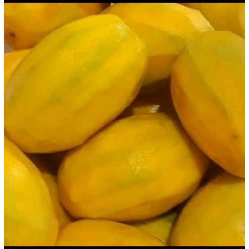 

Buah Mangga Kweni 1 kg