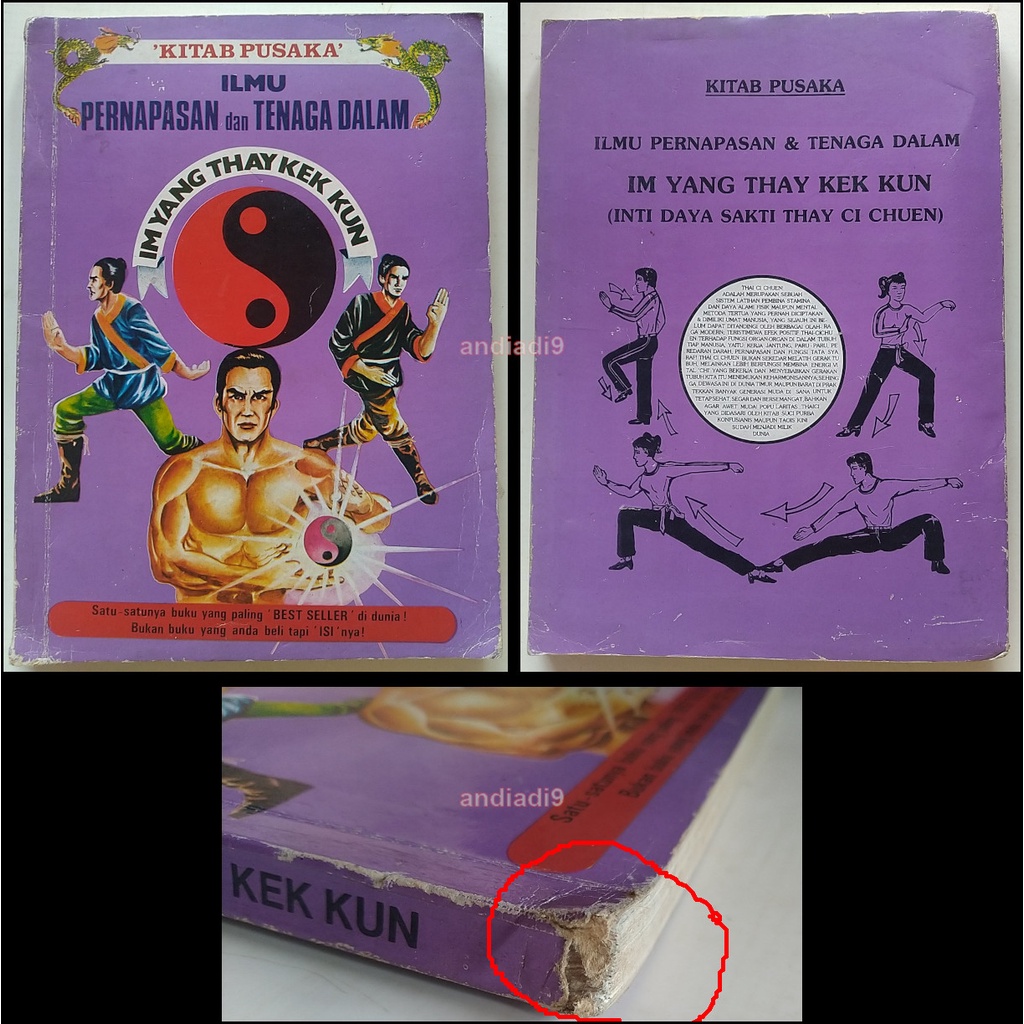 KITAB PUSAKA ILMU PERNAPASAN DAN TENAGA DALAM IM YANG THAY KEK KUN ( INTI DAYA SAKTI THAY CI CHUEN )