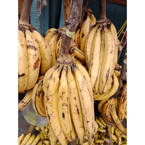 

BUAH PISANG TANDUK SUKABUMI 1 PCS SUPER
