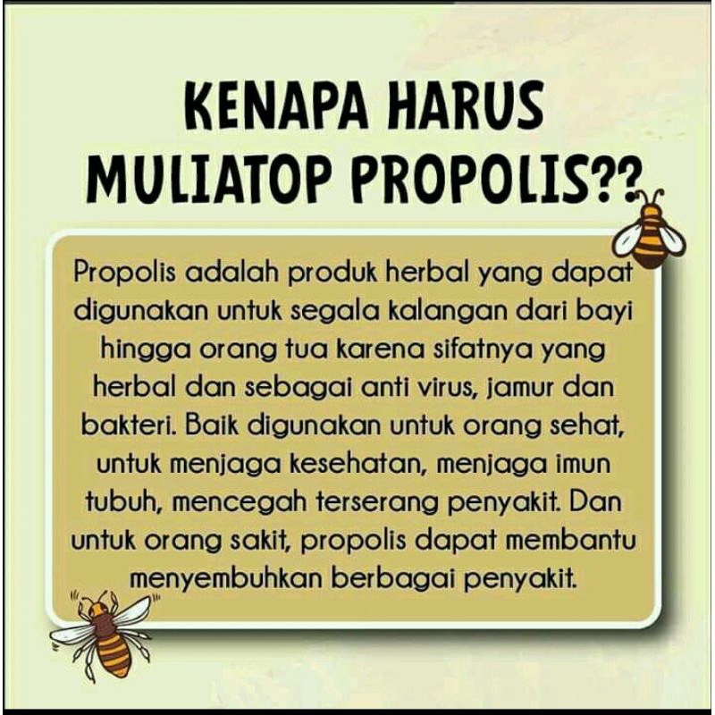 muliatop propolis 1 paket isi 10 harga lebih murah