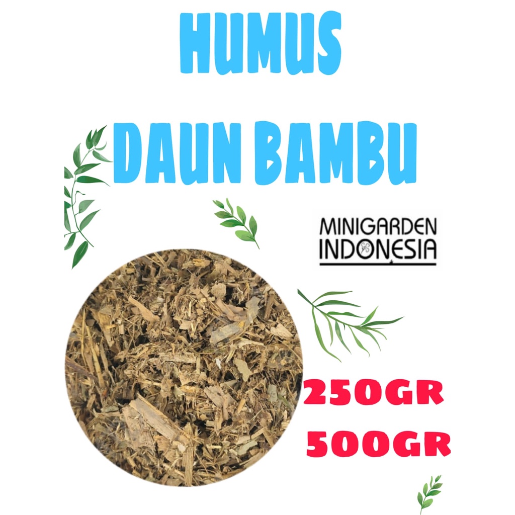 Jual Humus Daun Bambu Media Tanam Aglonema Suplir Cacahan Daun Kering Shopee Indonesia