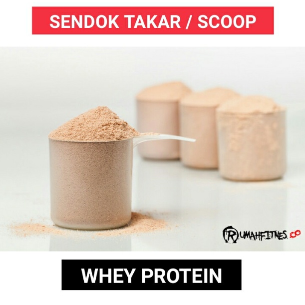 Scoop Sendok Takar Whey Protein