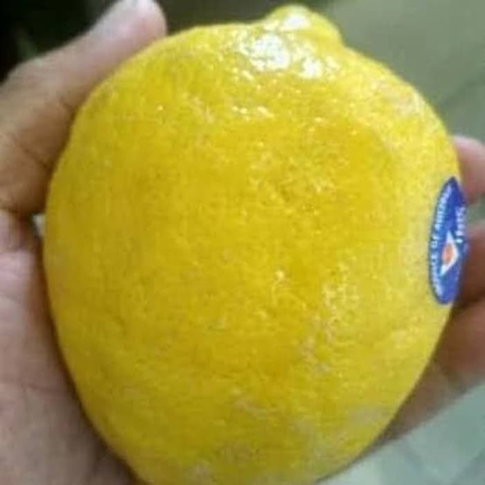 

Jeruk Lemon Import per buah