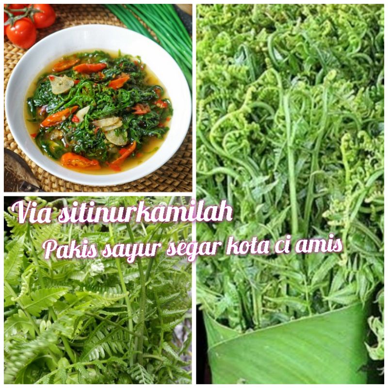 

pakis sayur segar 300grm