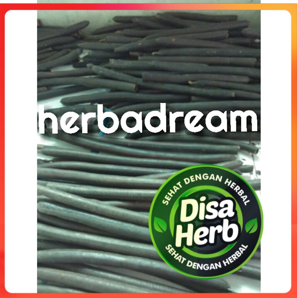 

ASAM TRENGGULI KERING 1kg - Cassia fistula - MURNI - JSR - REMPAH