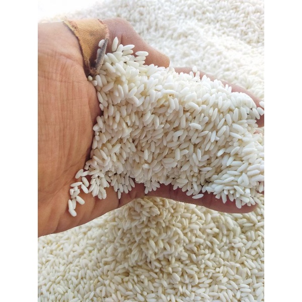 

Beras Ketan