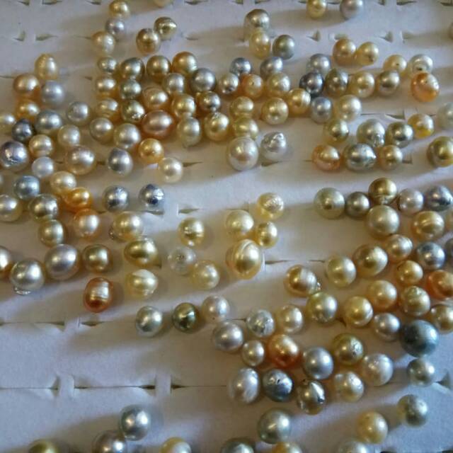 Mutiara air laut lombok