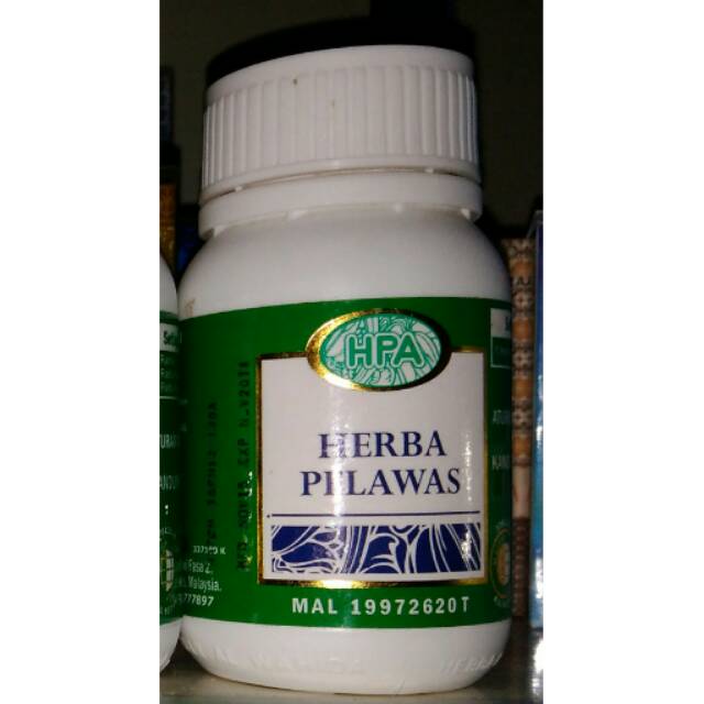 Herba pelawas HPA obat herbal sembelit