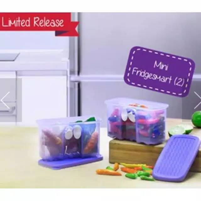 Mini Fridgesmart Satuan (1)