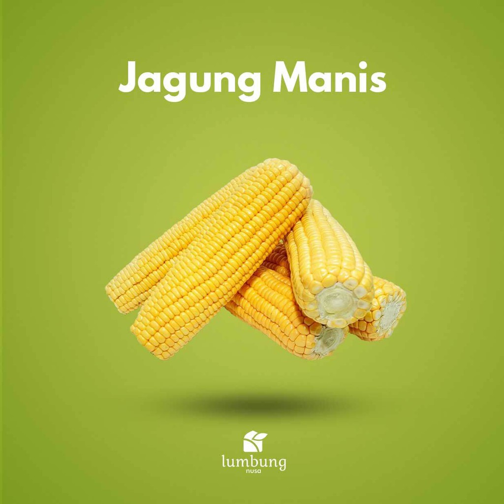 

Jagung Manis (1 kg)